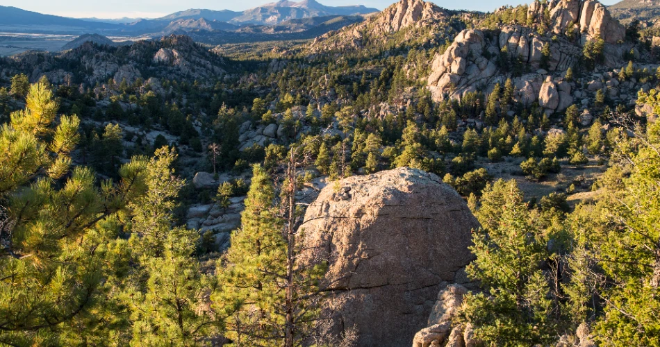 10 Best Fishing Spots Near Wilderness Expeditions (Riverside) RV Park – Salida, Colorado