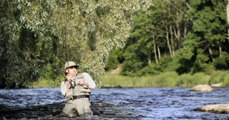 10 Best Fishing Spots Near Wilderness Expeditions (Riverside) RV Park – Salida, Colorado