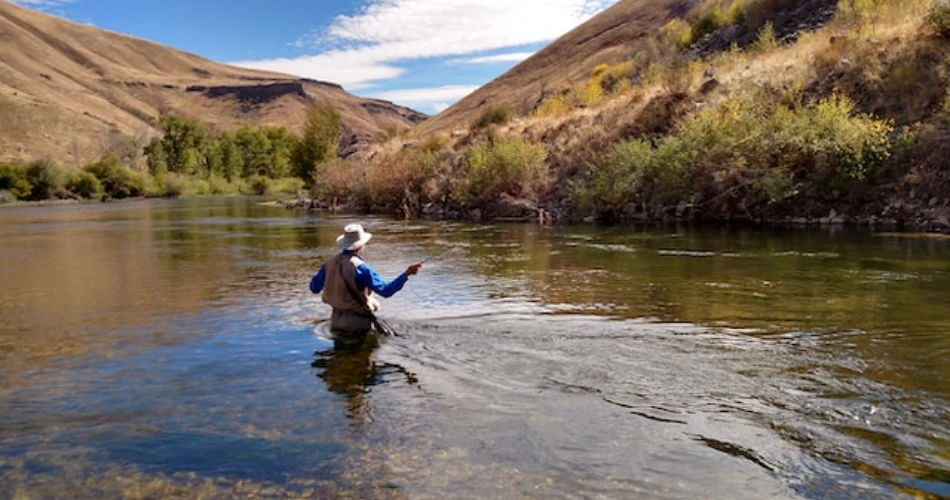 Best Hiking Trails Near Wilderness Expeditions (Riverside) RV Park – Salida, Colorado